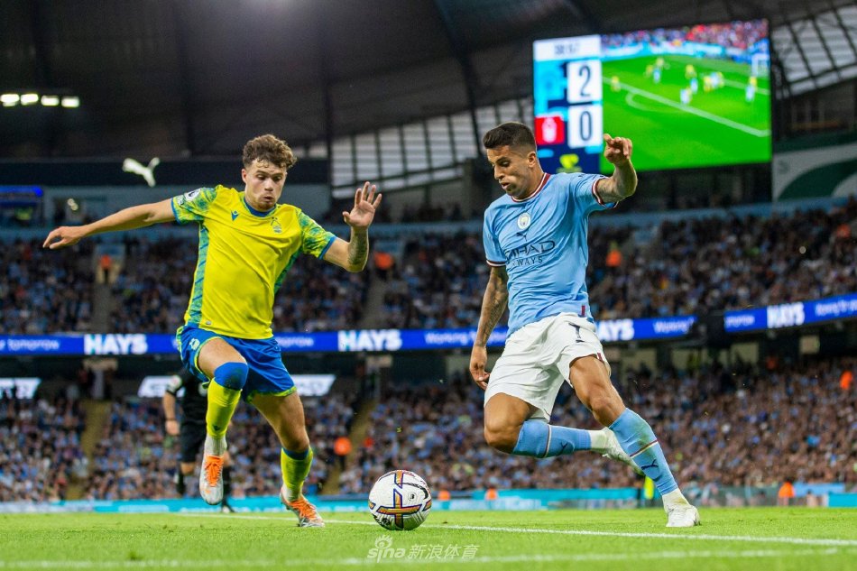 并与恩佐 并与恩佐