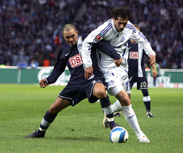 泛看好的新 泛看好的新